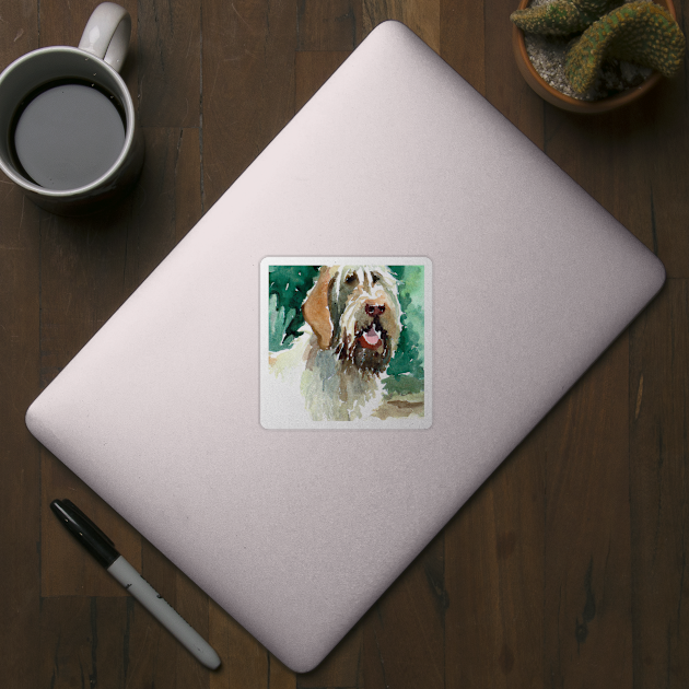 Spinone Italiano Watercolor - Dog Lovers by Edd Paint Something